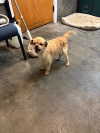 SPONSOR ME - Harry Winston - Photo 4