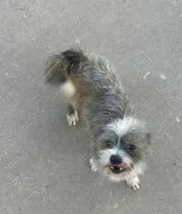 Jimmy - Photo 2