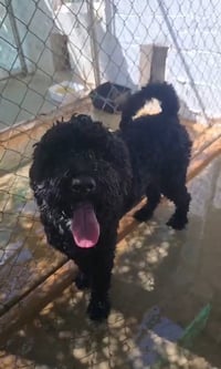 Milo - Photo 2