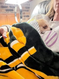 Chico - Photo 4