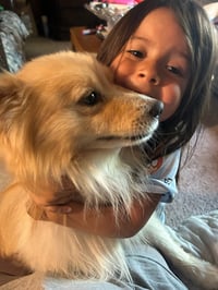 Elvis - ADOPTION IN PROCESS - Photo 4