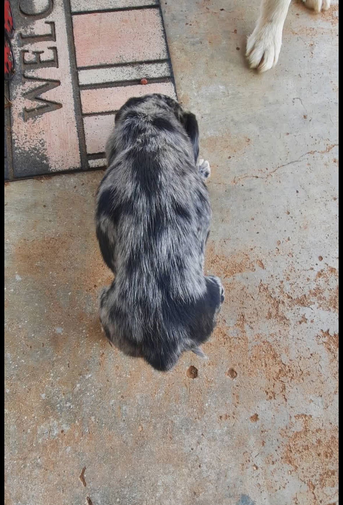 Kimberly - ADOPTION IN PROCESS - Photo 3