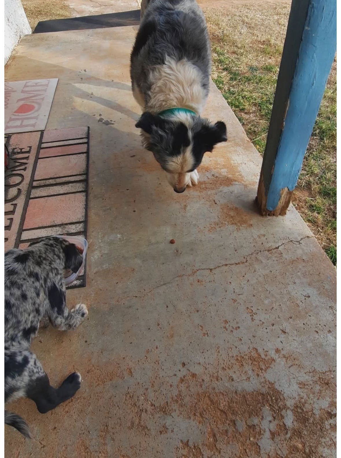 Kimberly - ADOPTION IN PROCESS - Photo 4