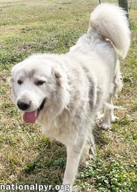 Lillie in MS - Loves Peanut Butter Ritz Bits! - Photo 3