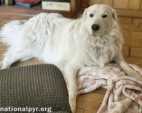 Lillie in MS - Loves Peanut Butter Ritz Bits! - Photo 2