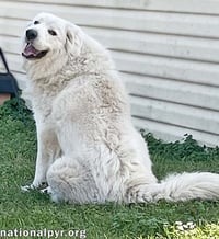 Lillie in MS - Loves Peanut Butter Ritz Bits! - Photo 2