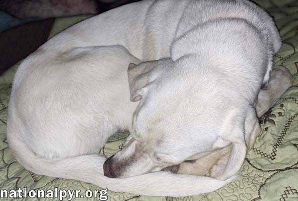 Princess in TN - An Active Sweetheart! - Photo 3