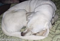 Princess in TN - An Active Sweetheart! - Photo 3