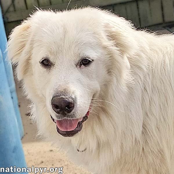Amaya in KY - Loves To Be With Her People! Image