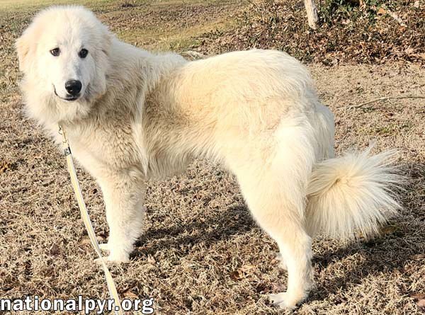 Krissa in KY - Loves Toys! - Photo 3