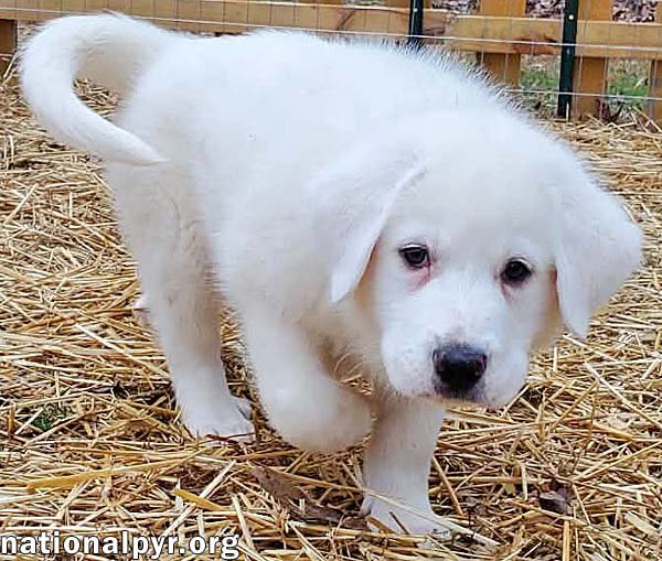 Haruki in KY - The Sweetest Shadow! - Photo 3