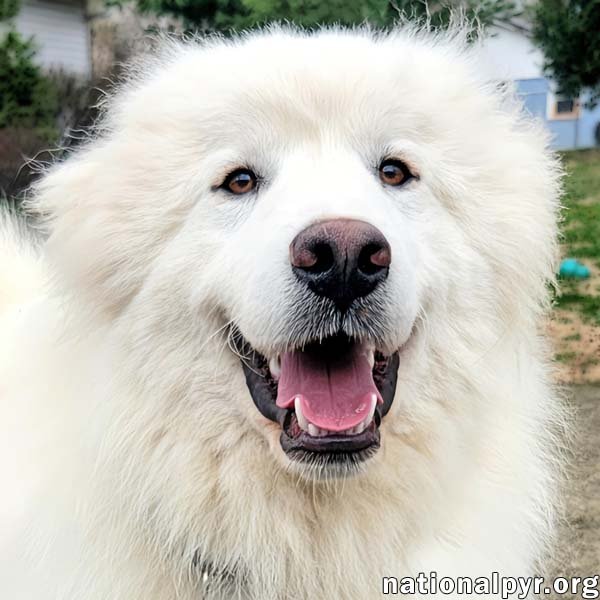 PERRY IN KY - INDEPENDENT & DEEPLY AFFECTIONATE!