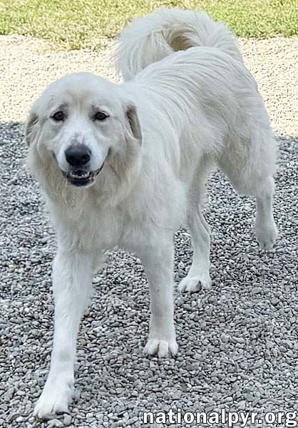 Ellie in TN - Sweet As Sugar! - Photo 3