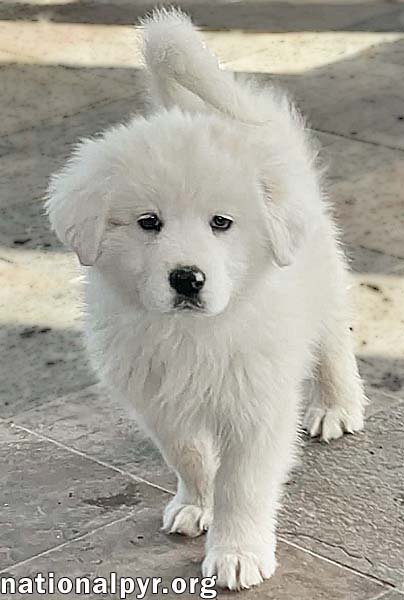 Sophia in OH - Has a Fearless Love For Fun! - Photo 3