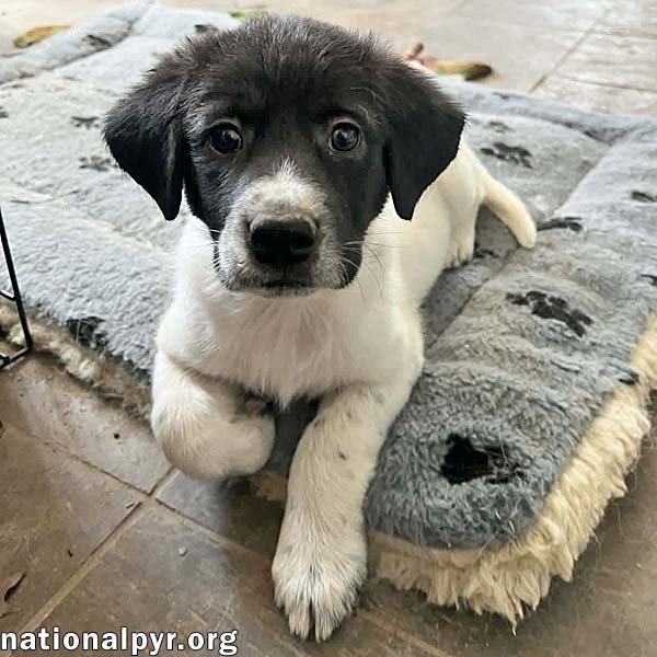 Angel in OH - An Independent Sweetheart! Image