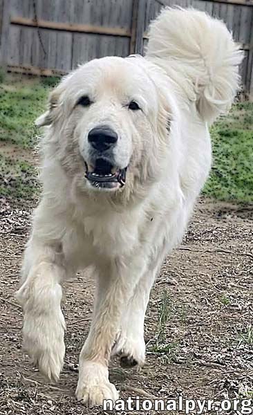 Ted in TN - Velcro Lover Boy! - Photo 3