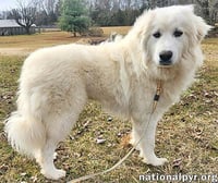 Kami in KY - Sweet & Playful! - Photo 3