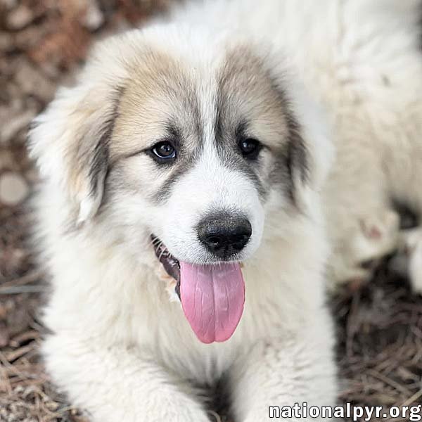 Creeper in OH - Happy, Confident & Curious! Image