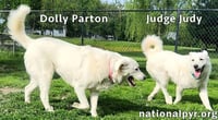 Judge Judy & Dolly Parton in KY - A Fun Duo! - Photo 3
