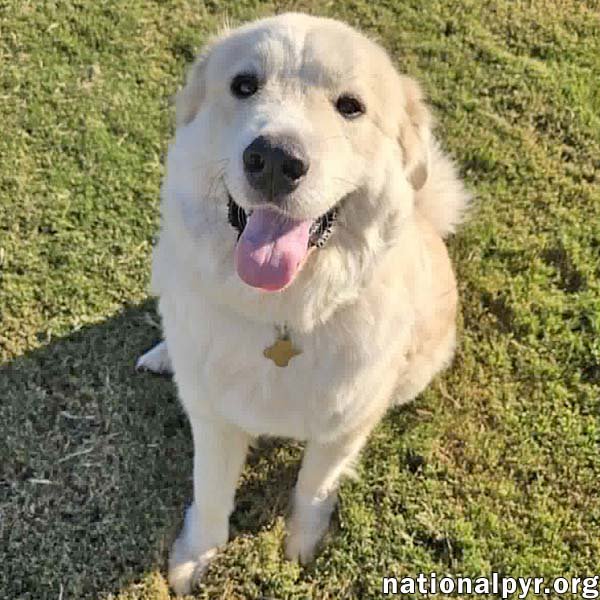 Merida in SC - Sweet & Playful! Image