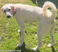 Lady in LA - Sweet, Sassy & Playful! - Photo 3