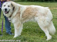 Jake in TN - A Laid-back Guy! - Photo 3