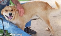 Tuff in LA - Gives Sweet Kisses! - Photo 3