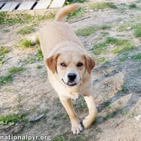 Tuff in LA - Gives Sweet Kisses! - Photo 2