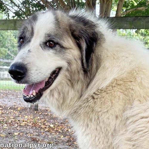 FREYA IN GA - SWEET GIRL WITH AN OLD SOUL!