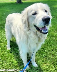 Trent in KY - Happy, Silly & Playful! - Photo 2