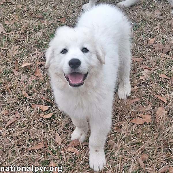 JULIAN IN LA - LOVES PLAYTIME & APPLE SNACKS!
