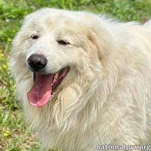 CJ IN AL - OUTGOING, PLAYFUL & LOVING!