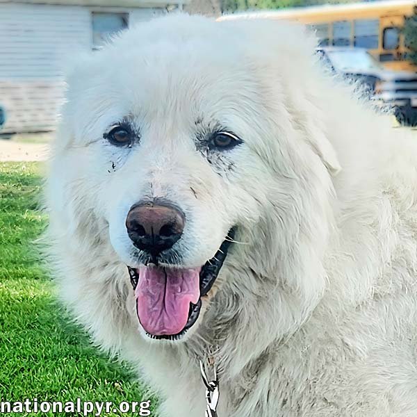 Daisy in KY - Wants To Be Close & Show You Love! Image