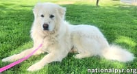 Daisy in KY - Wants To Be Close & Show You Love! - Photo 3