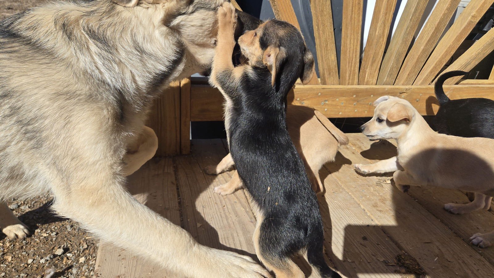 **CHECKERS - Photo 3