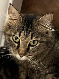 Peaches * - Photo 2