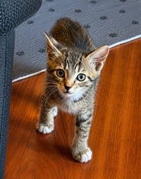 Luca * - Photo 1