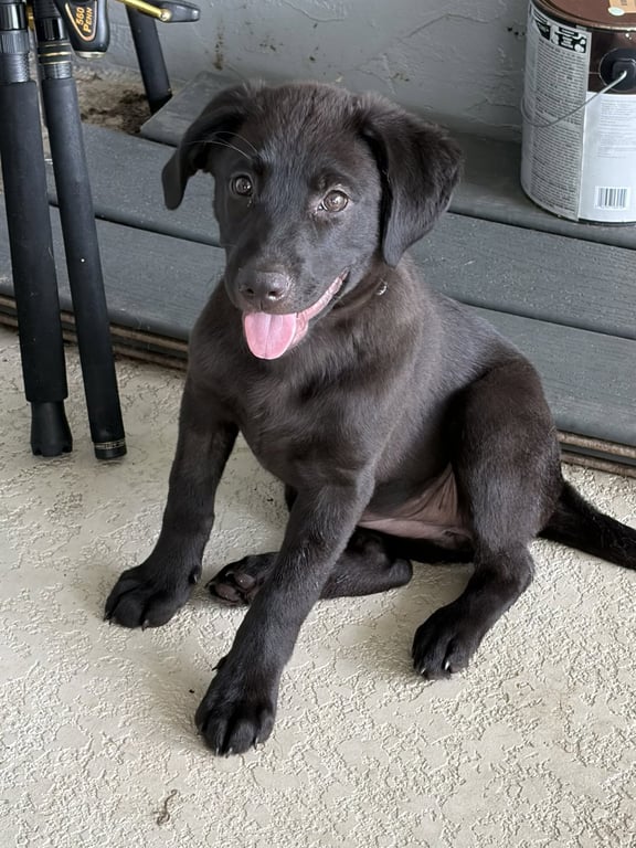 Ellie * Image