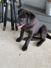 Ellie * - Photo 4