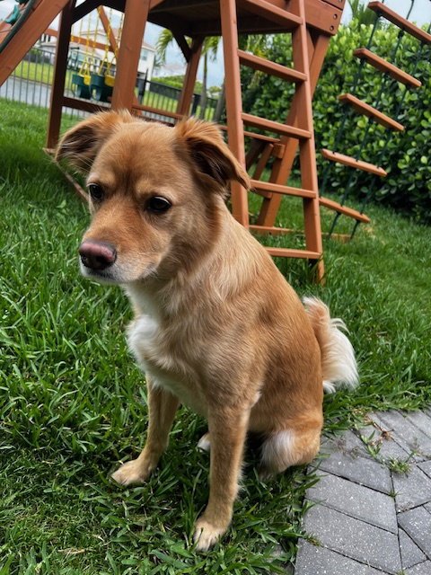 Tucker * Image