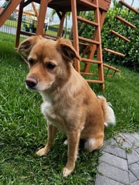 Tucker * - Photo 1