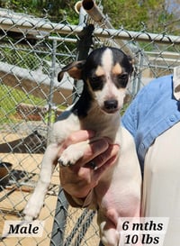 Hopper * - Photo 2