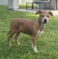 Betty - Photo 3