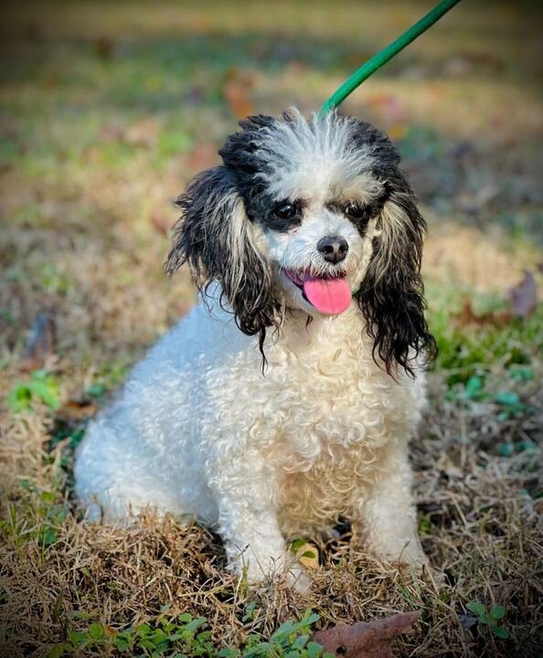 Kate Aug 25 - Photo 3