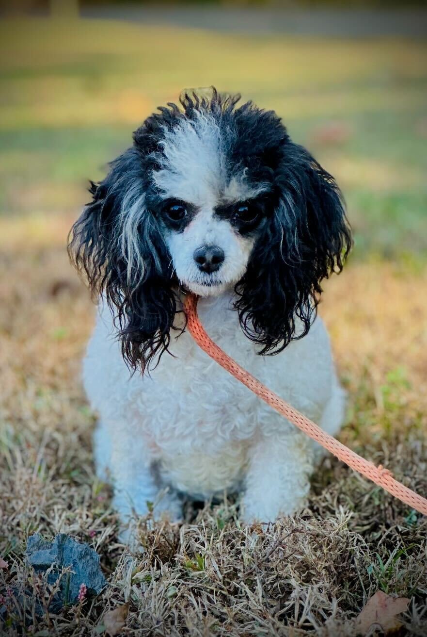 Kate Aug 25 - Photo 4