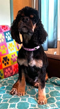 Mallory Mar 26 - Photo 2