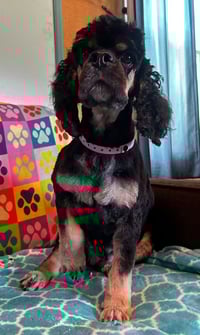 Mallory Mar 26 - Photo 3