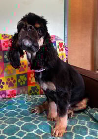 Mallory Mar 26 - Photo 4