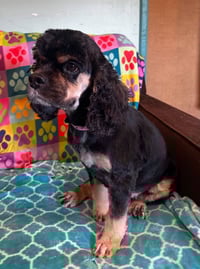 Mallory Mar 26 - Photo 5