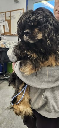 Mallory Mar 26 - Photo 6